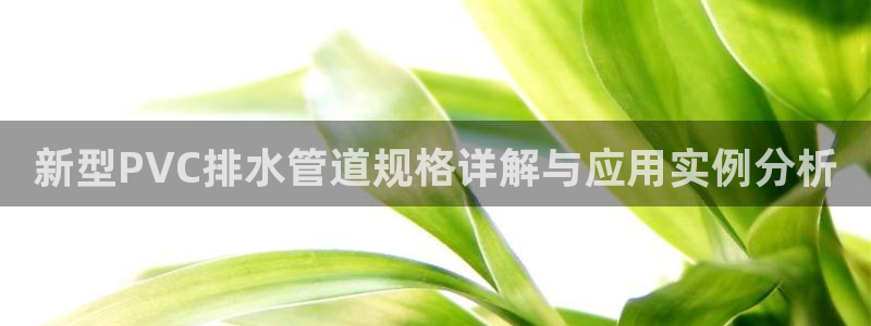 北仑富邦娱乐