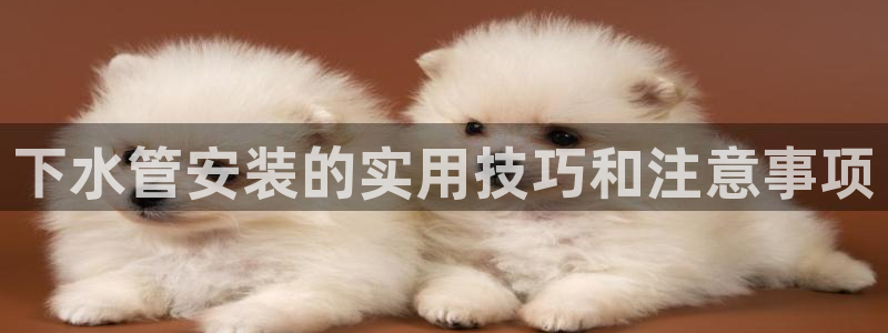 富邦娱乐平台登录入口官网