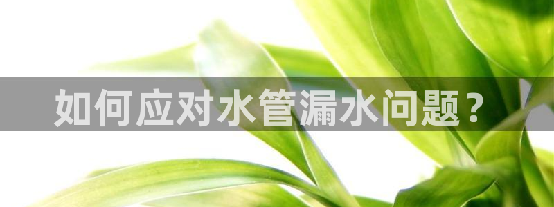 富邦翡翠娱乐