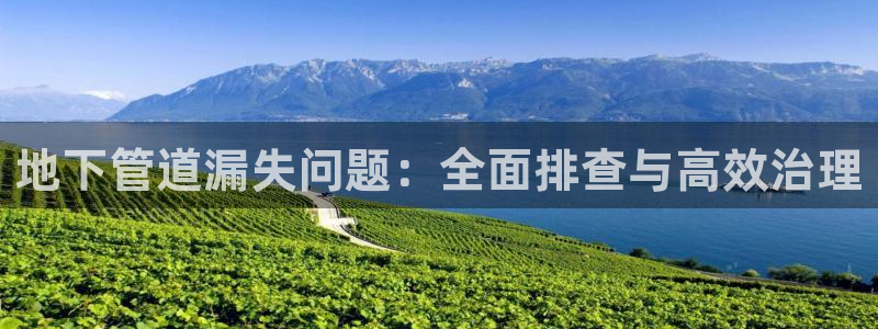 富邦游娱乐团购