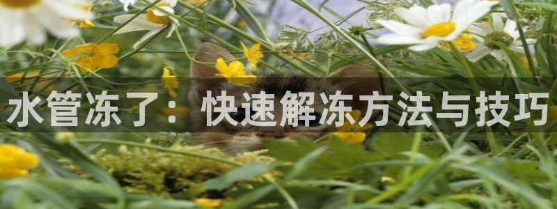 富邦娱乐代理注册