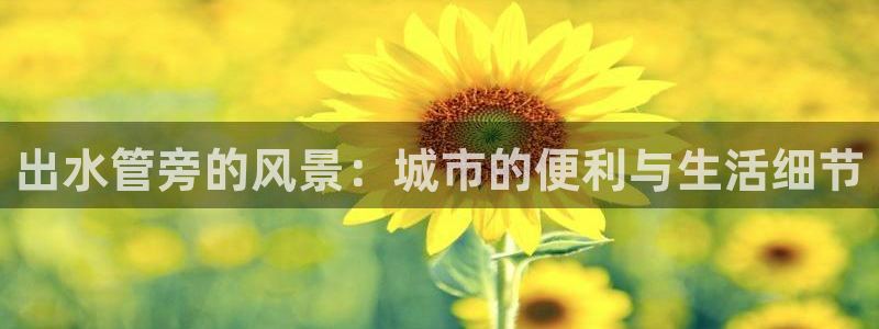 富邦娱乐官网-上全狐网