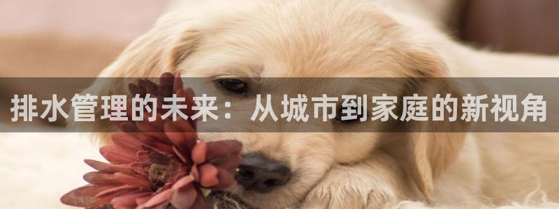 富邦娱乐有限公司