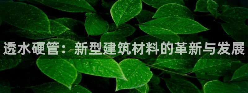 富邦娱乐线路检测