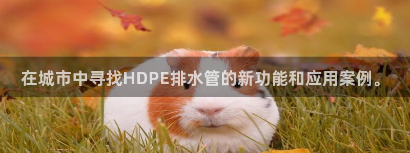 临平富邦娱乐总监山鸡