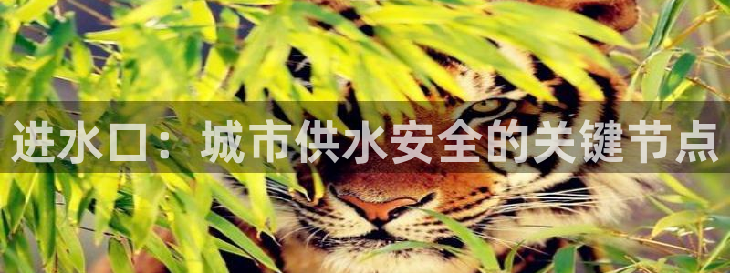 富邦翡翠娱乐会所地址