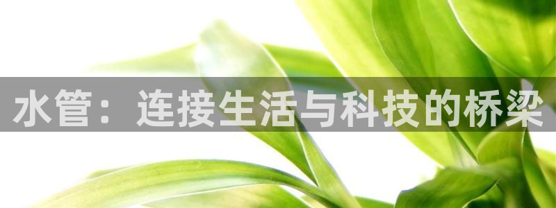 富邦娱乐网页版登录入口