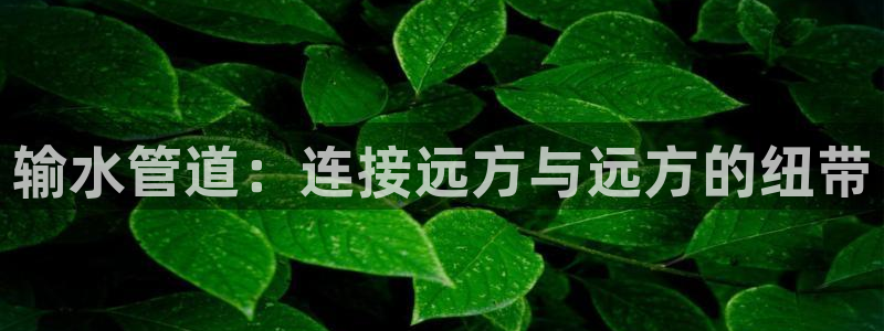 屏山富邦娱乐会所电话多少