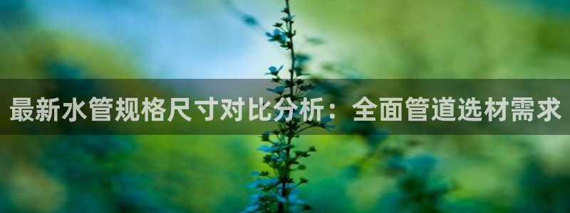 北仑富邦娱乐会所地址