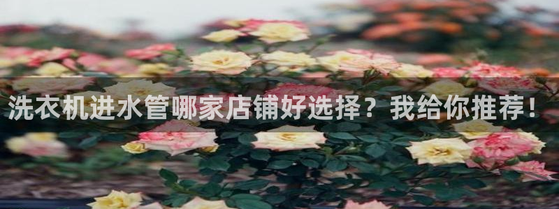 屏山富邦娱乐会所电话地址