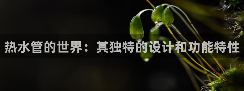 fub富邦娱乐线路检测