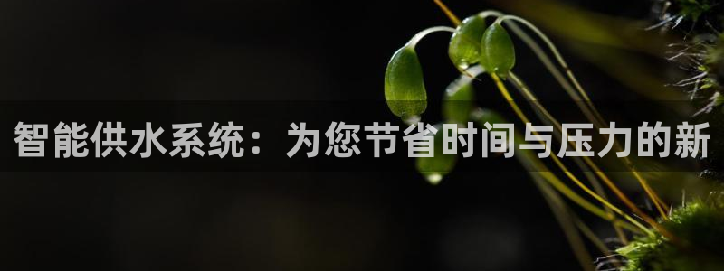 富邦娱乐团购活动