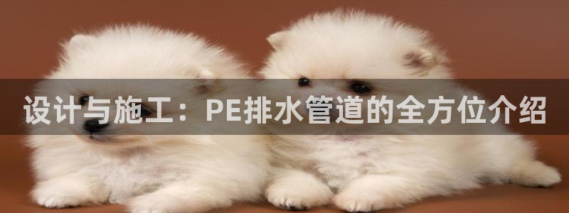 富邦娱乐官方网站