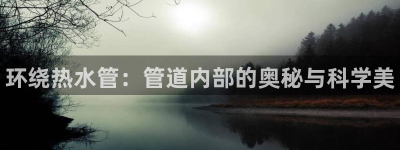 富邦娱乐 果敢锦海