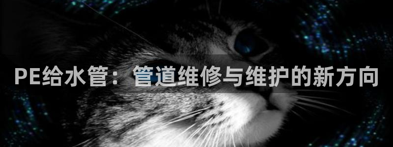 富邦娱乐app下载