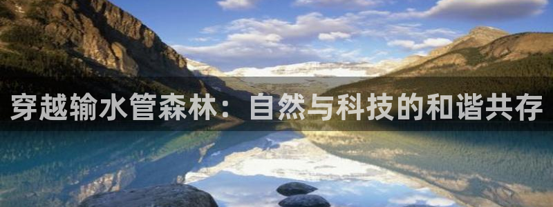 富邦娱乐平台登录网址