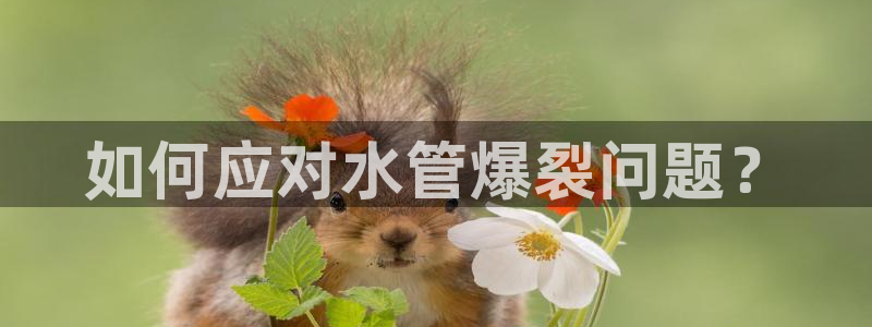 富邦娱乐官网 全礴网