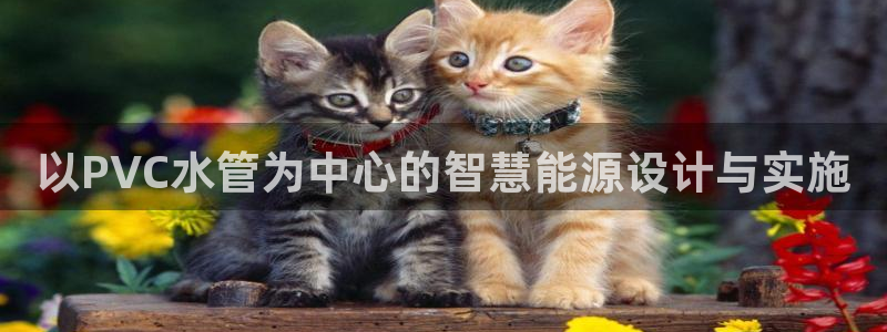 hubang富邦娱乐