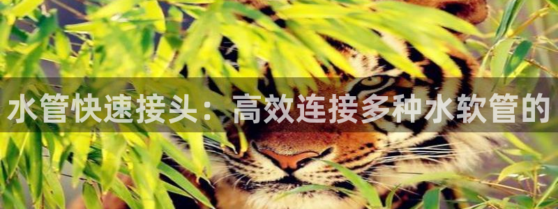 富邦娱乐app那里下载