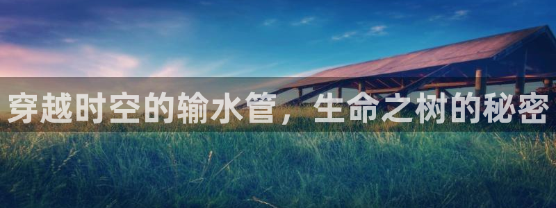 富邦娱乐游艺