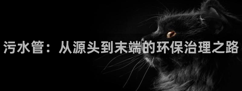 富邦娱乐-真博百楽