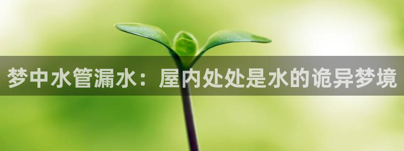 富邦娱乐团购怎么样啊