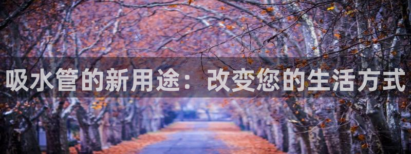 富邦娱乐代理注册