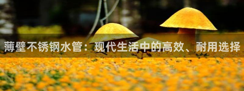 富邦商务娱乐会所怎么样