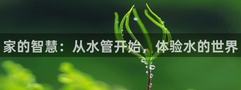 宁波北仑富邦娱乐