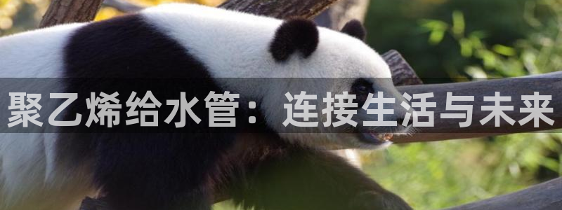 富邦娱乐被风控怎么办