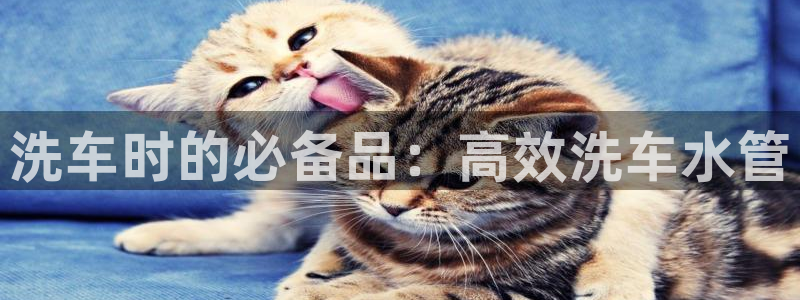 杭州临平富邦娱乐厅