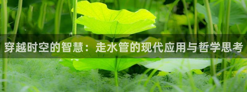 杭州富邦丽晶娱乐会所