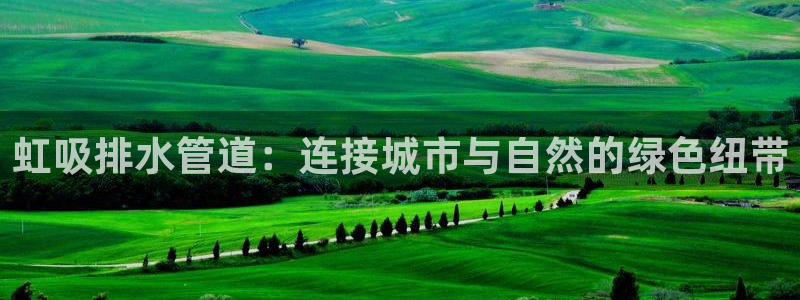 富邦娱乐平台登录入口官网