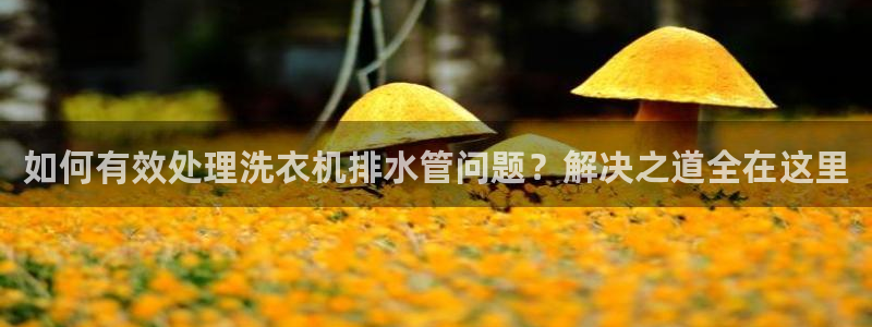 富邦娱乐登入 全礴网