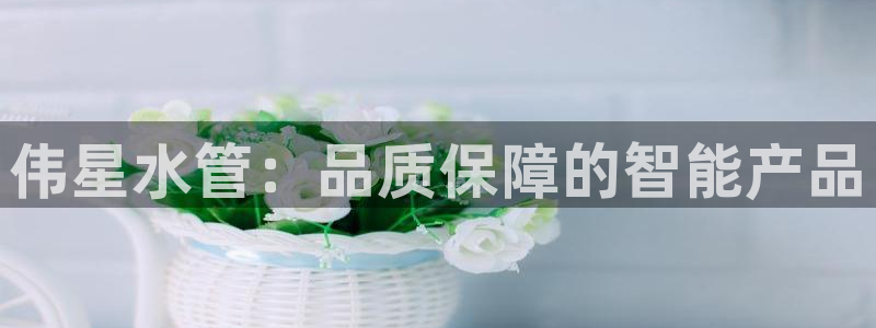 富邦娱乐城打牌