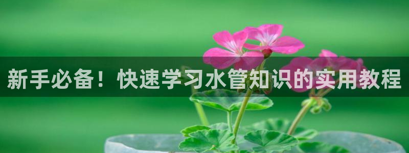 富邦电子娱乐网址