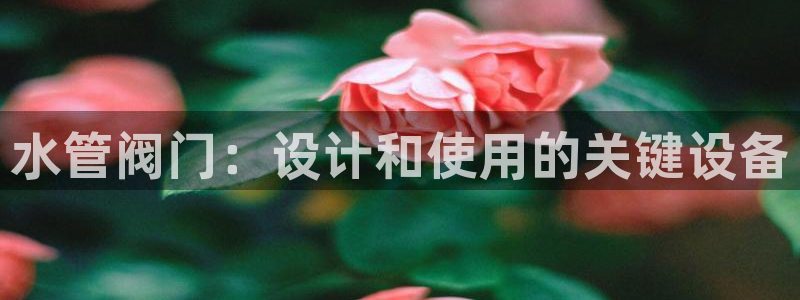 富邦翡翠娱乐怎么样