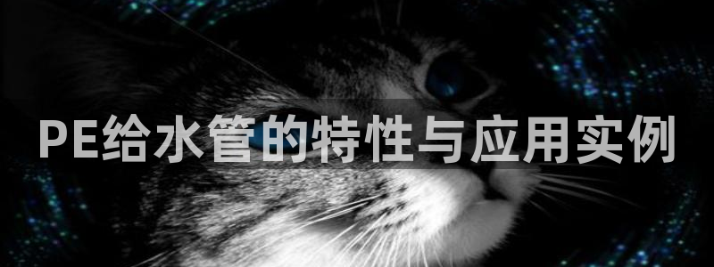 北仑富邦壹加娱乐