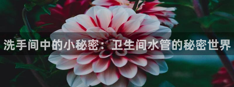 杭州临平富邦娱乐会所