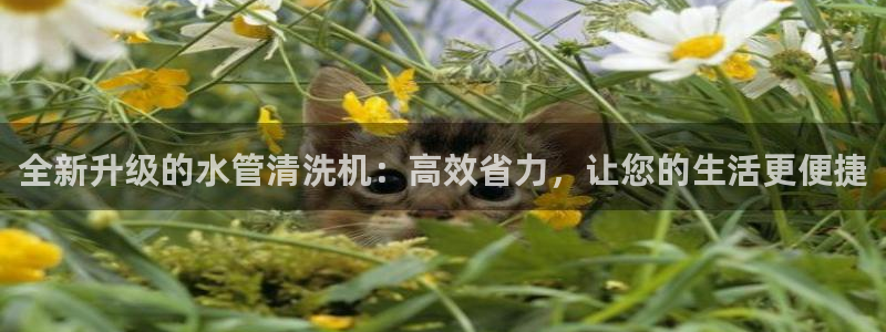 富邦酒店有娱乐场所嘛