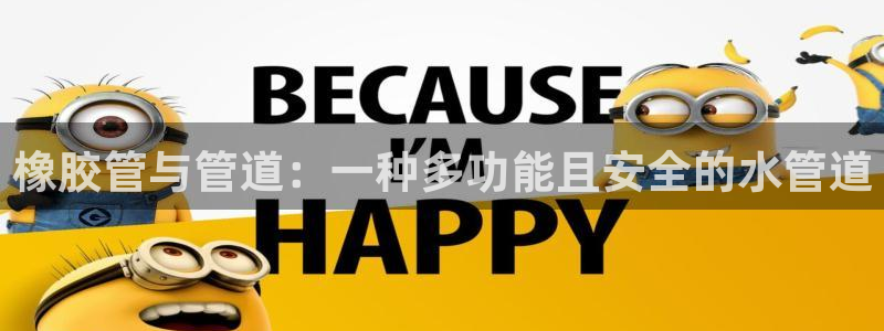 富邦娱乐 果敢锦海