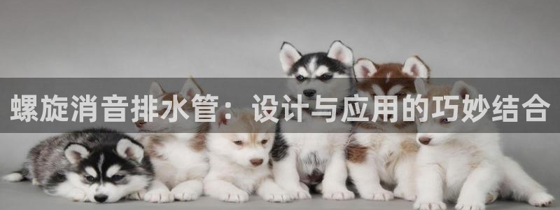 富邦娱乐团购怎么样啊