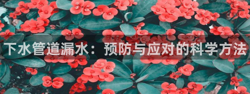 富邦娱乐 皇恩靠谱