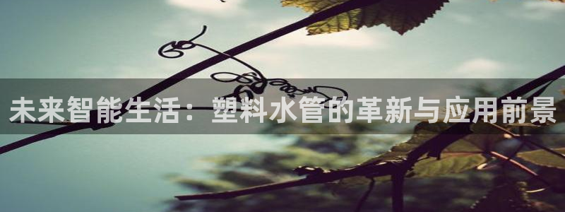 北仑富邦壹加娱乐