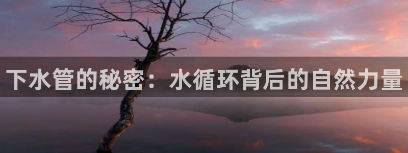 富邦线上娱乐城