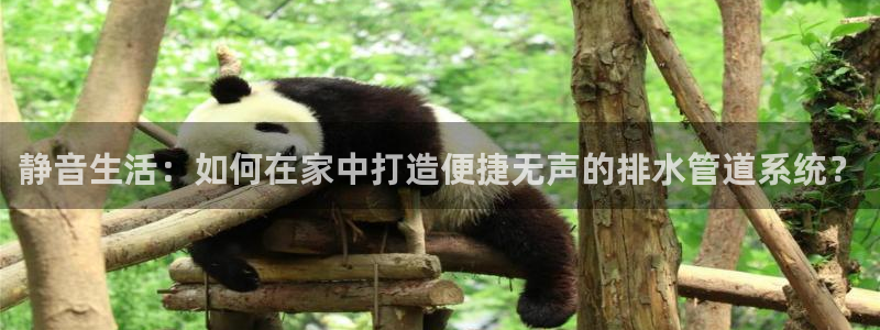 杭州富邦娱乐会所