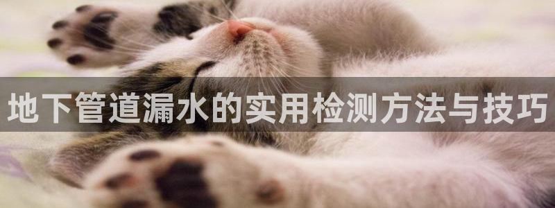 富邦翡翠娱乐怎么样啊