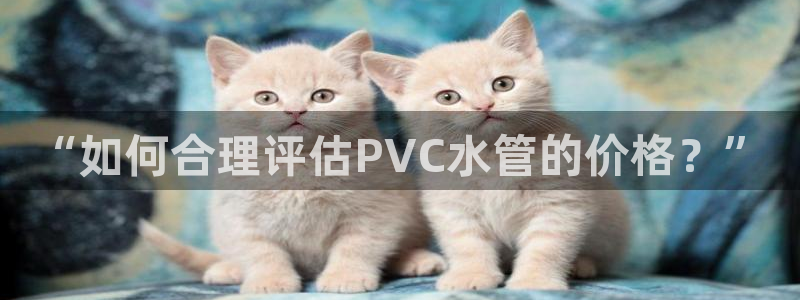 富邦丽佳国际娱乐会所