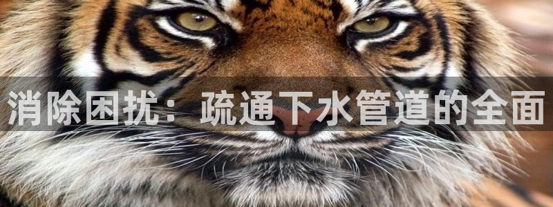 富邦娱乐平台地址