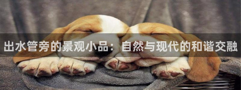 富邦酒店有娱乐场所嘛